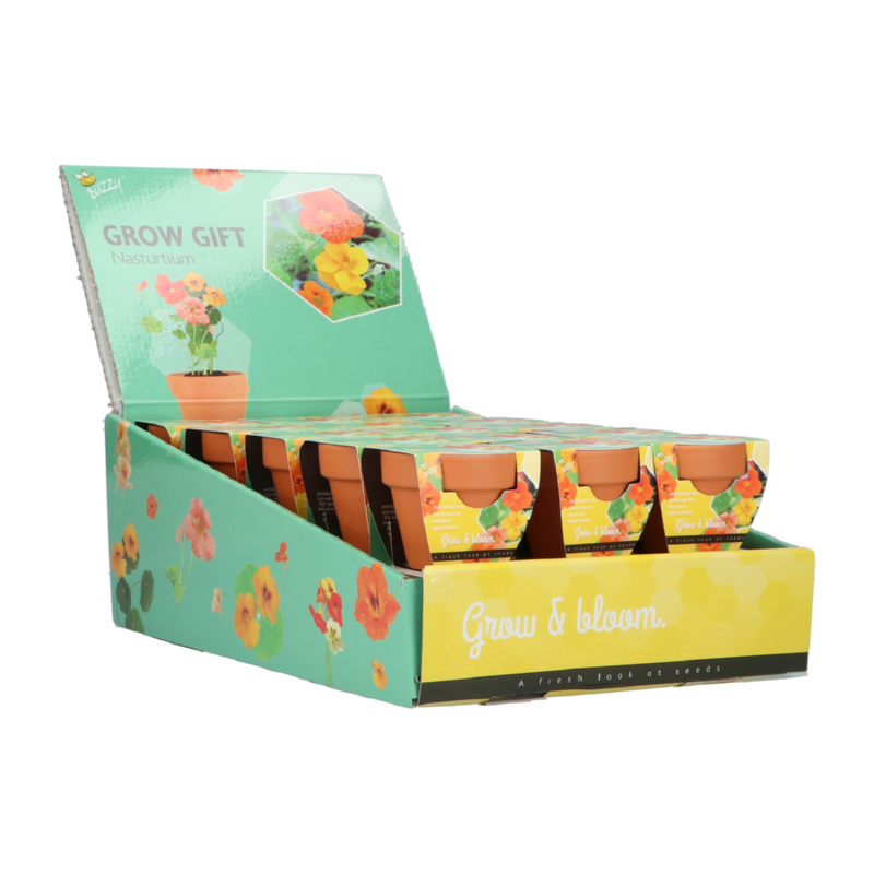 Buzzy® Grow Gifts Oost-Indische Kers 30st. in display (30)