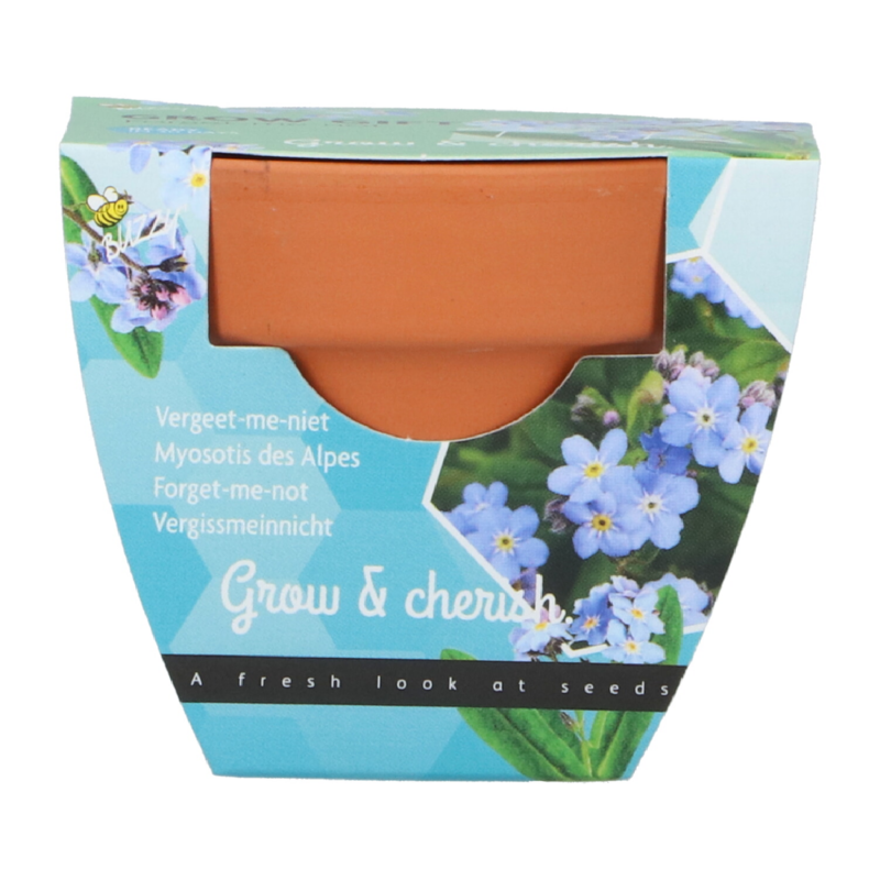 Buzzy® Grow Gifts Vergeet-me-niet 30st. in display (30)