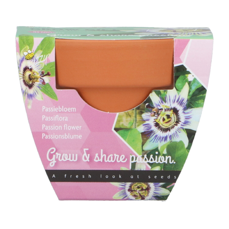 Buzzy® Grow Gifts Passiflora 30st. in display (30)
