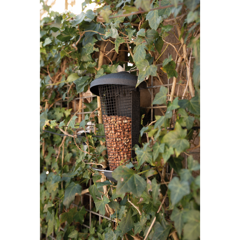 Bird Gift Blacksteel Muur pindafeeder