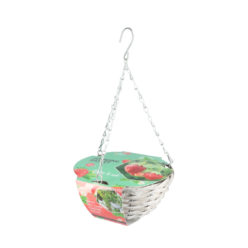 Buzzy® Hanging Basket Aardbei (6)