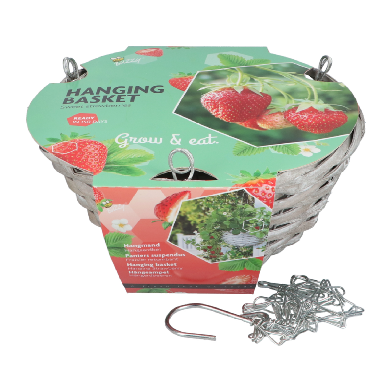 Buzzy® Hanging Basket Aardbei (6)