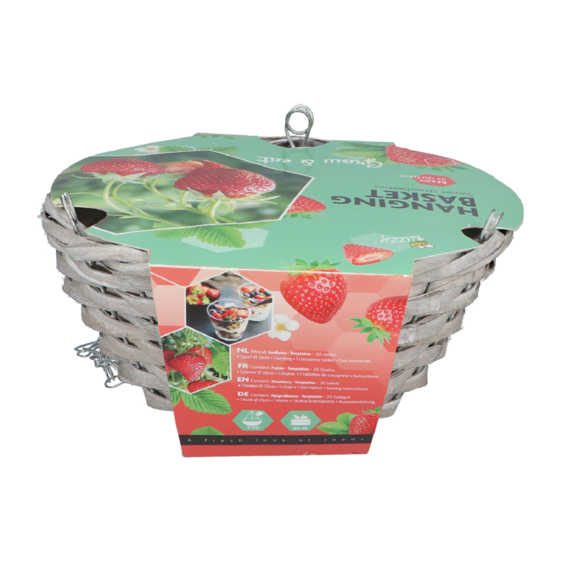 Buzzy® Hanging Basket Aardbei (6)