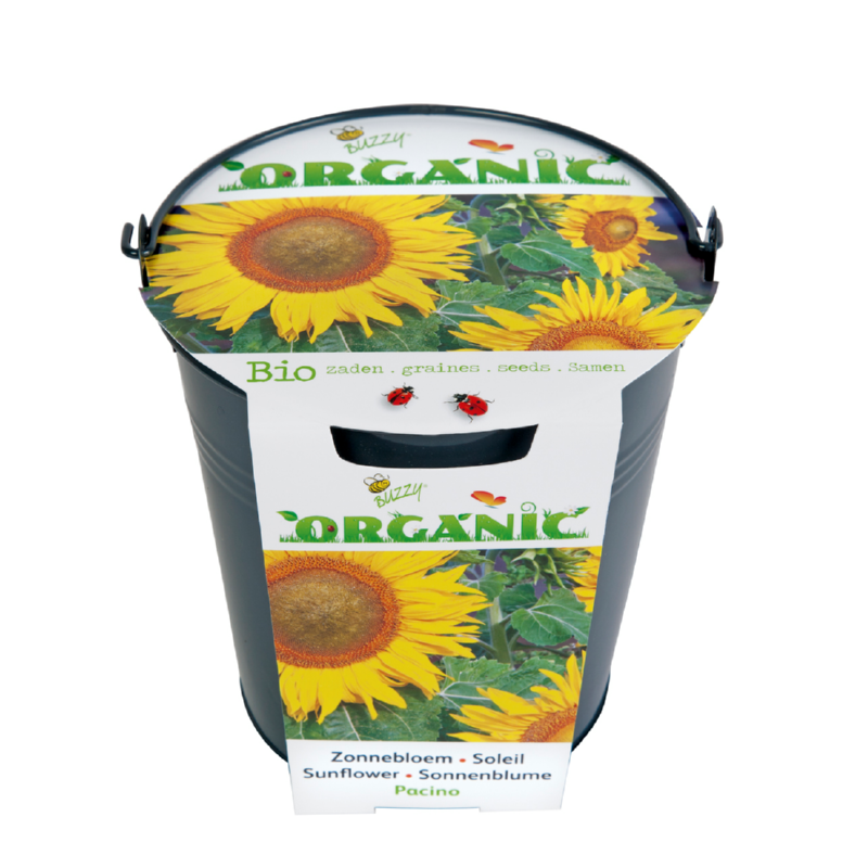 Buzzy® Organic Emmertje Zonnebloem (BIO) (9)