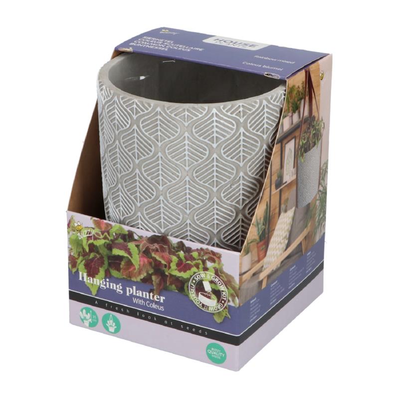 Buzzy® House Plants Hangende Plantpot met Coleus zaden