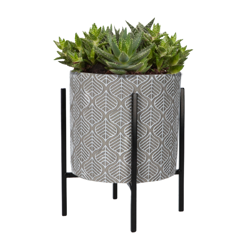 Buzzy® House Plants Plantpot in standaard + Aloe Vera zaden