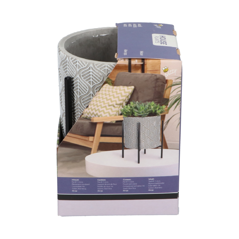 Buzzy® House Plants Plantpot in standaard + Aloe Vera zaden