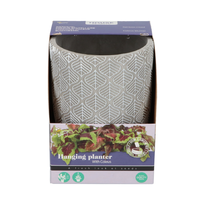 Buzzy® House Plants Hangende Plantpot met Coleus zaden