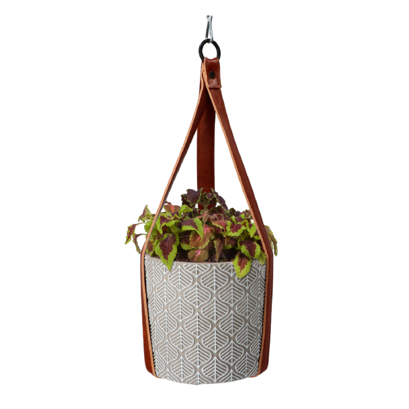 Buzzy® House Plants Hangende Plantpot met Coleus zaden