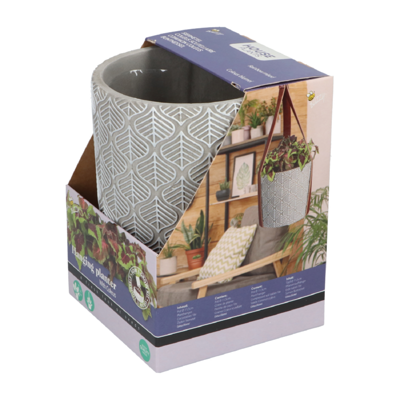 Buzzy® House Plants Hangende Plantpot met Coleus zaden