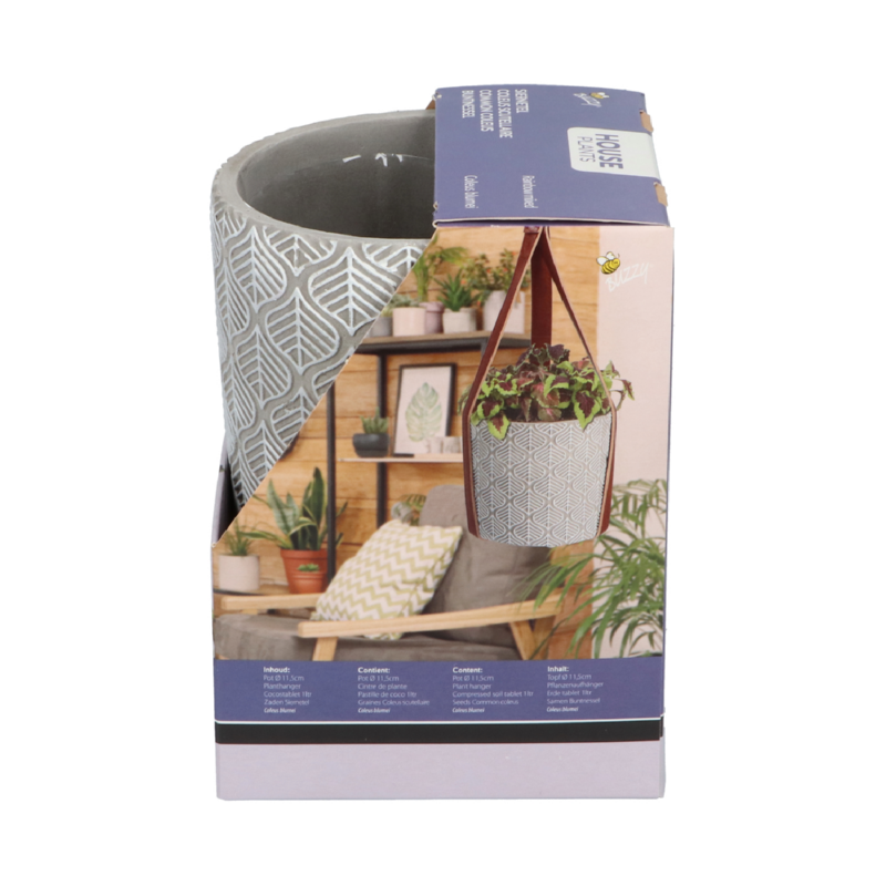 Buzzy® House Plants Hangende Plantpot met Coleus zaden