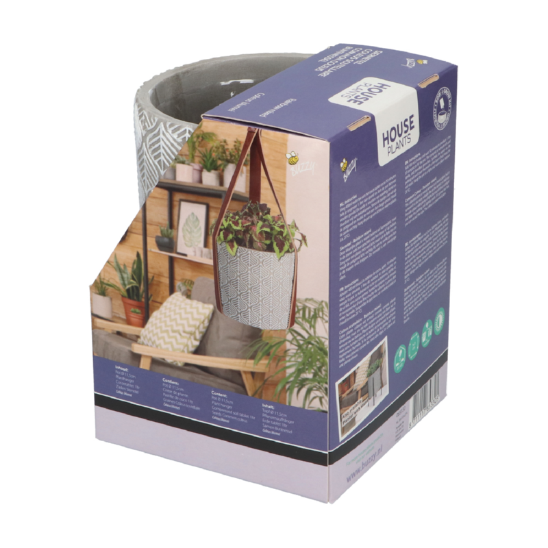 Buzzy® House Plants Hangende Plantpot met Coleus zaden