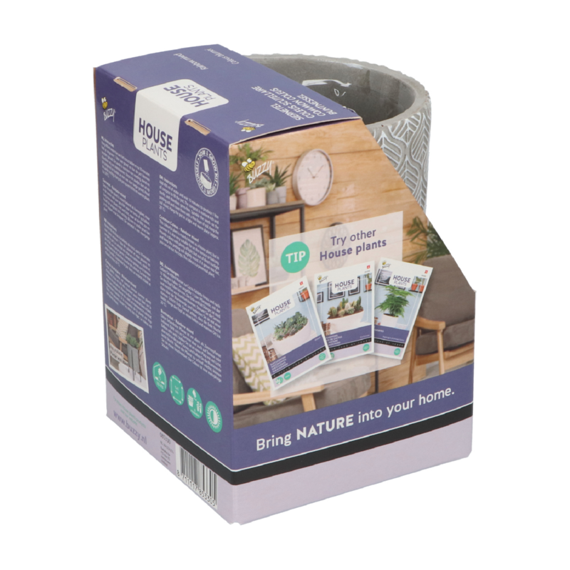 Buzzy® House Plants Hangende Plantpot met Coleus zaden