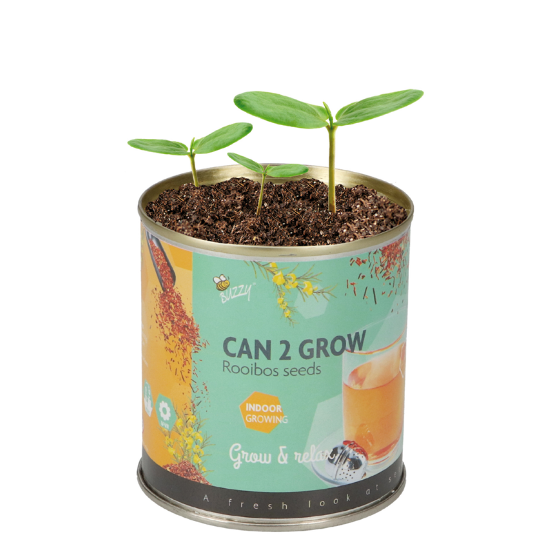 Buzzy® Display Can 2 Grow Koffie & Thee 22st